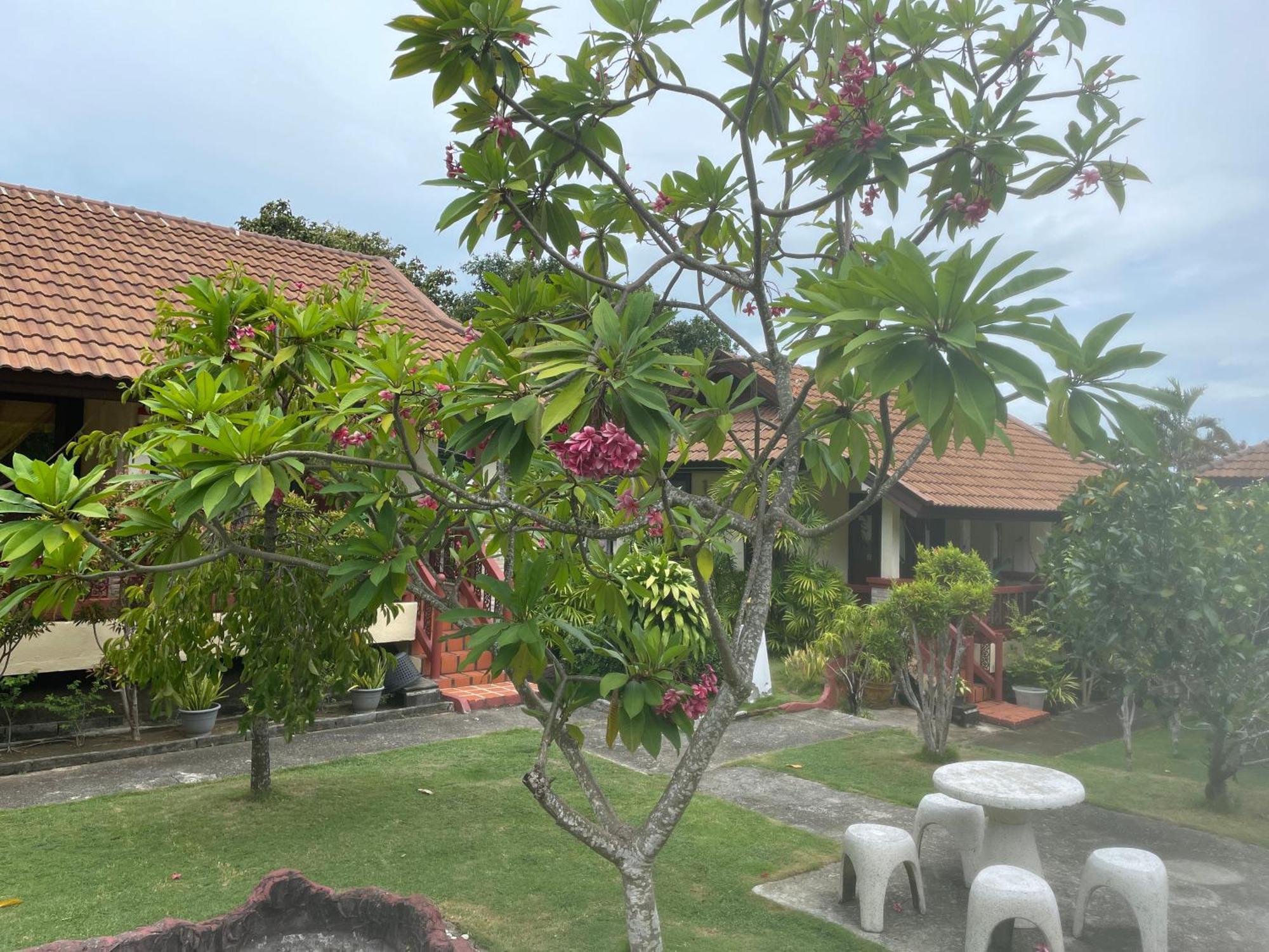 Starlight Haadrin Resort Haad Rin Ngoại thất bức ảnh